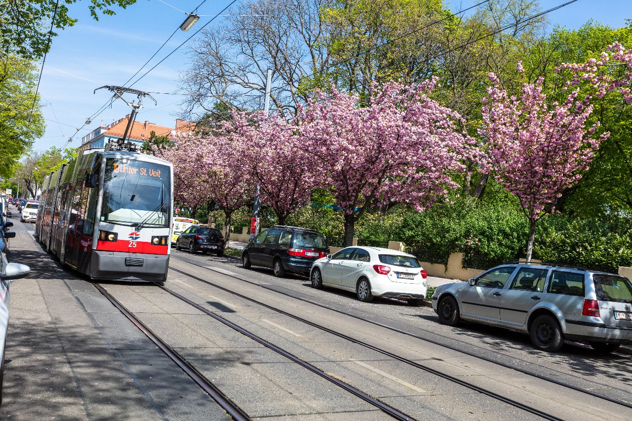Tramvajová linka č. 10 na jaře © Wiener Linien - Manfred Helmer