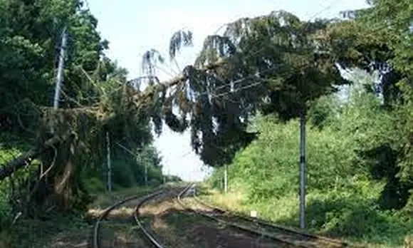 Kácení a údržba tratě zastaví provoz mezi Jabloncem nad Nisou a Smržovka