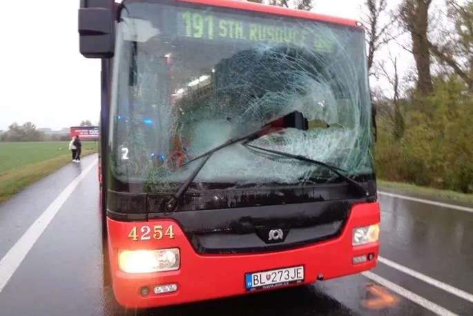 Jelen u Bratislavy skočil skrze sklo autobusu dovnitř. Nikdo z cestujících nebyl zraněn