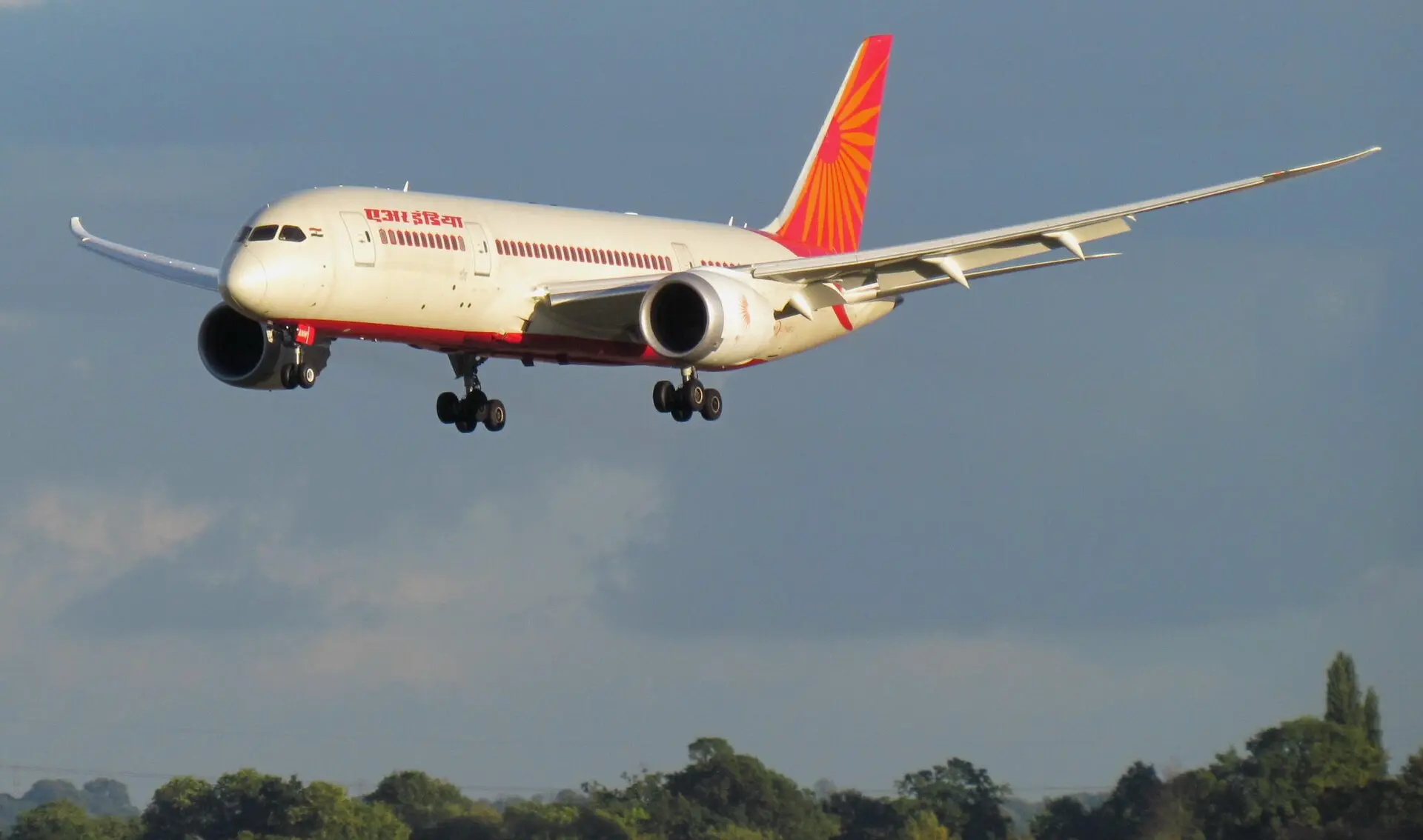 přistávající Boeing 787-8 Air India © ozz13x/ wikipedie