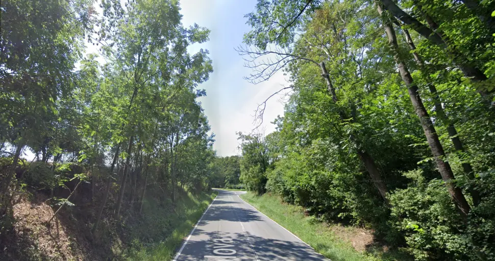 Suché jasany ohrožují řidiče a cyklisty. Zdroj: Google maps