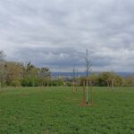 Brownfield se mění v místo vycházek | Foto: MMOI