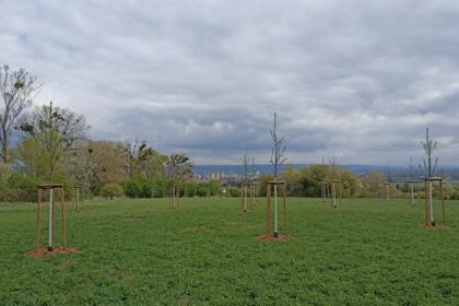 Brownfield se mění v místo vycházek | Foto: MMOI