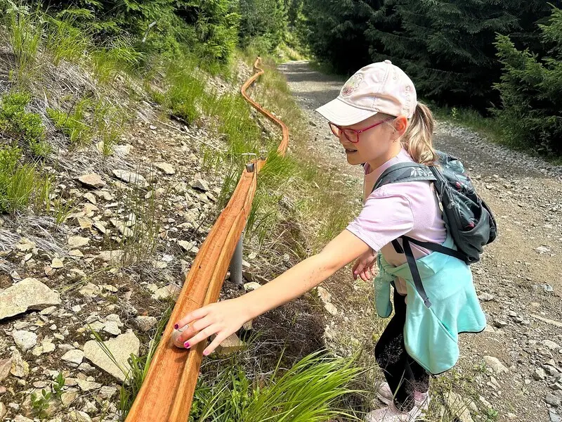 Nově otevřená Kůrovcová naučná stezka na Dolní Moravě s 200 metrů dlouhou kuličkodráhou, zdroj Resort Dolní Morava