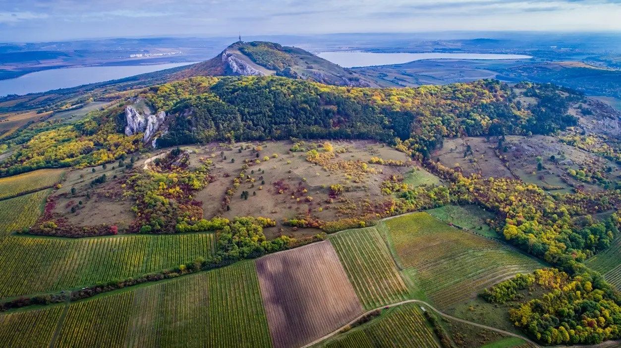 Pálava, zdroj: Vinařství Volařík